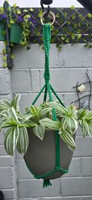 indoor plant pot and pot hanger included