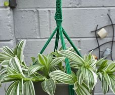 indoor plant pot and pot hanger included