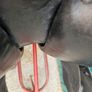 Selleria De Garda 18 Jumping Saddle Image 8