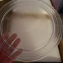 Microwave plate Image 2