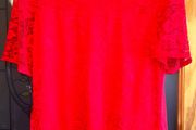 Bnwt size 14 dunnes red lace top