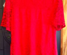 Bnwt size 14 dunnes red lace top
