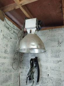grow lamp