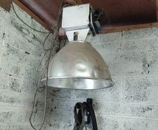 grow lamp