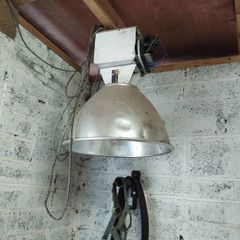 grow lamp