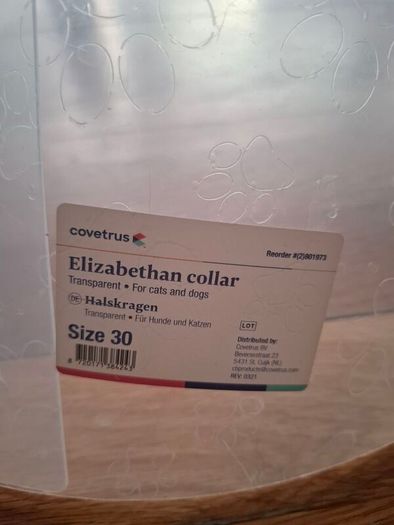 Dog Cone Collar