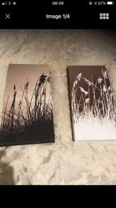 Canvas Art