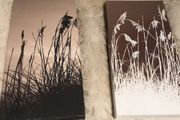 Canvas Art
