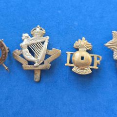 Some broken Irish military badges
