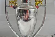 Premier League Trophy