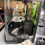 Fish tank Image 5
