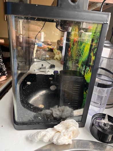 Fish tank