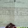 Lady Diana Spencer - Birth Certificate - Princess of Wales Image 2