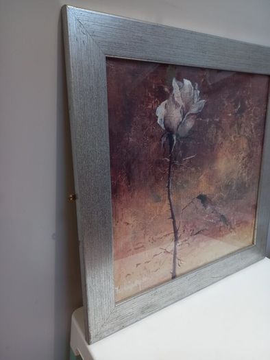 Rose Framed Artwork