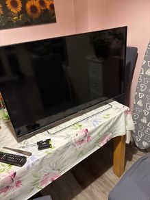 Panasonic TV - Needs Repair
