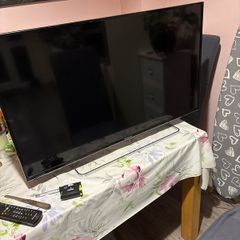 Panasonic TV - Needs Repair