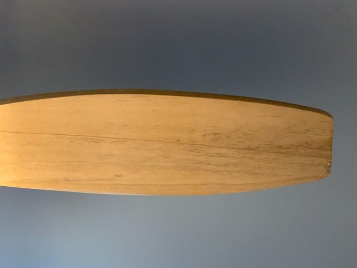Ceiling fan with light