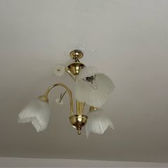 ceiling lights