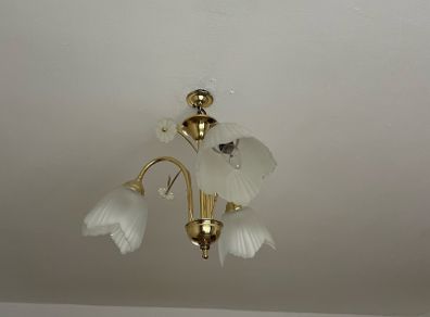ceiling lights