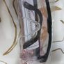 Eye Protector/Safety Glasses  Brand New Image 4