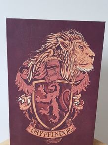Harry Potter Wall Canvas Light