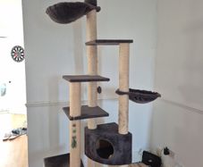 Cat climber