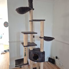 Cat climber