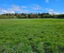 Land to let Kildare/Monasterevin