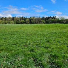 Land to let Kildare/Monasterevin