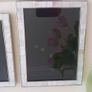 2  Mother of Pearl Frames Image 4