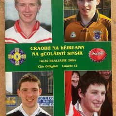 2004 All-Ireland Colleges Final Programme