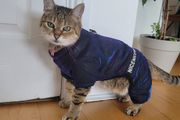 Warm Pet Jacket. Holographic, Faux Fur Lined (XS-S) Water-resistant
