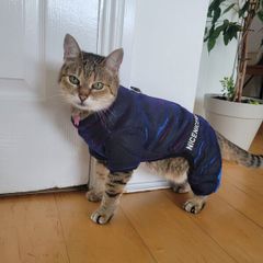 Warm Pet Jacket. Holographic, Faux Fur Lined (XS-S) Water-resistant