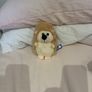 Cute soft teddy's Image 7