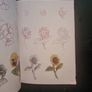 How to Draw Flowers in Simple Steps Image 4
