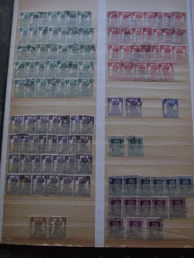 A nice collection of Stamps from India, presented in the stock book