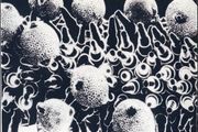 Startled Insects - Underworld / Black Spring 12" Vinyl Industrial Synth pop Electronic 80s