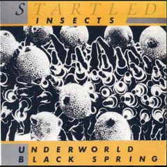 Startled Insects - Underworld / Black Spring 12" Vinyl Industrial Synth pop Electronic 80s