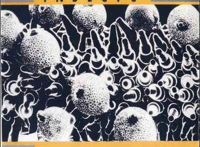 Startled Insects - Underworld / Black Spring 12" Vinyl Industrial Synth pop Electronic 80s