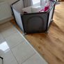 Playpen Image 2