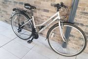 ladies bike( can deliver)