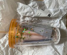 Cup with straw