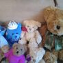 Teddy bear Collection Image 4