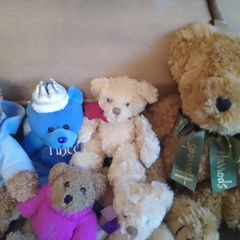 Teddy bear Collection