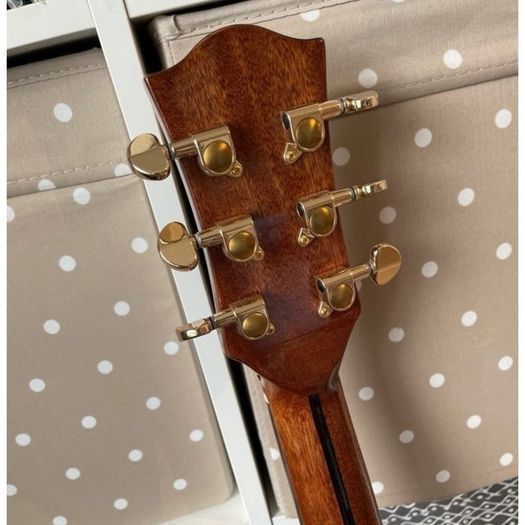Richwood Electro Acoustic