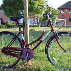 Classic Ladies City Bike 26 Inch 3 Speed Small Frame