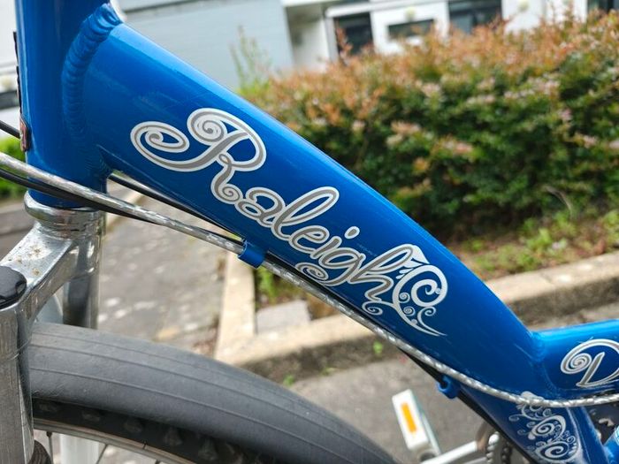 Raleigh Diva 24 girls bike