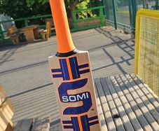Cricket  Bat