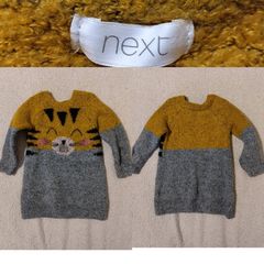 Next Baby Jumper Dress