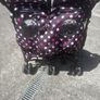 Cossatto Double Buggy Image 2